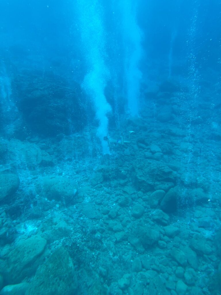 Lisca Bianca underwater fumaroles, Panarea Aeolian Islands: snorkeling and MySailCruise catamaran.