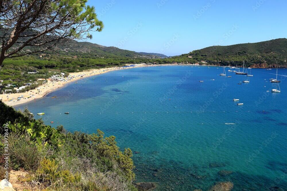 Estesa spiaggia sabbiosa del Golfo della Lacona all'Elba, con dune naturali e una pineta retrostante che incontra il mare limpido.